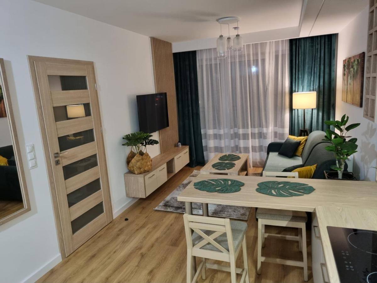 Apartament Sloneczny -Sciegiennego 키엘체 외부 사진