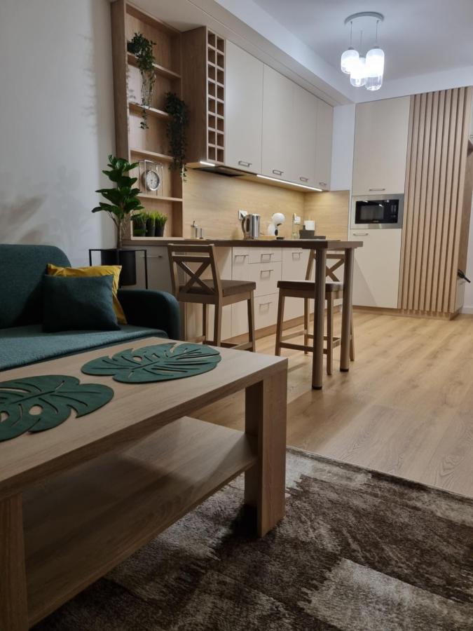 Apartament Sloneczny -Sciegiennego 키엘체 외부 사진