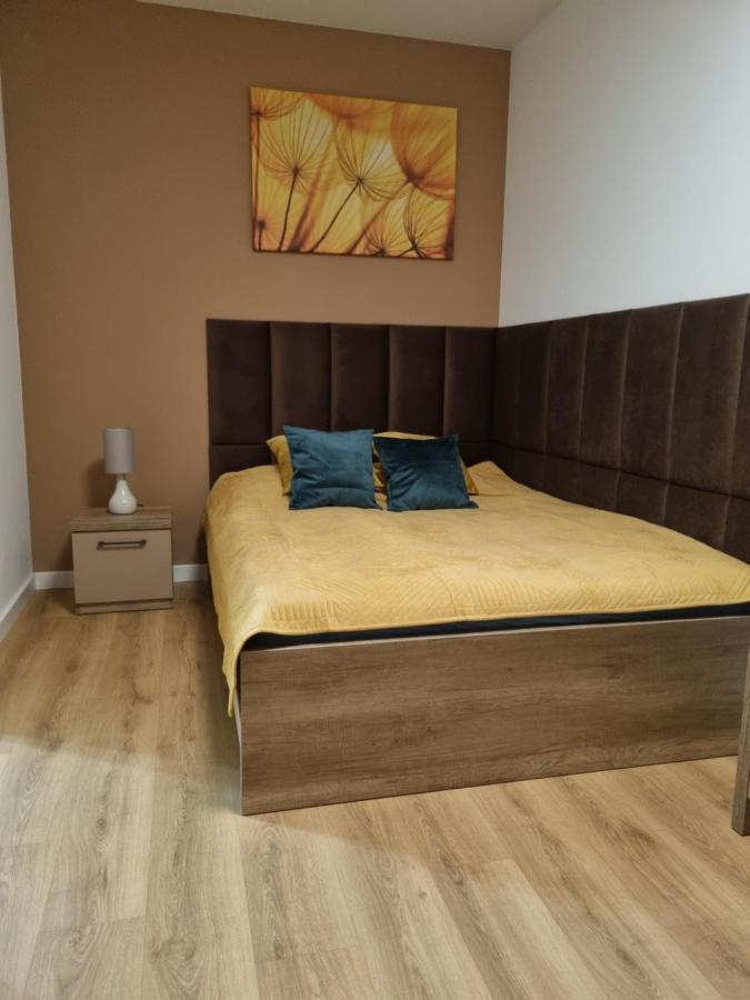 Apartament Sloneczny -Sciegiennego 키엘체 외부 사진