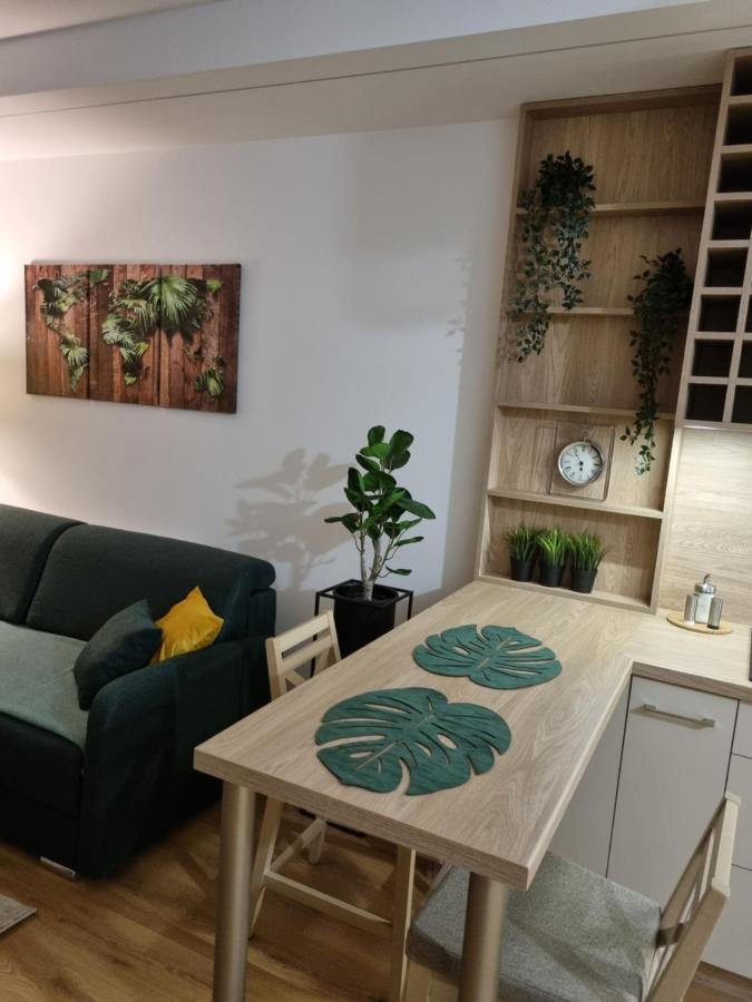Apartament Sloneczny -Sciegiennego 키엘체 외부 사진