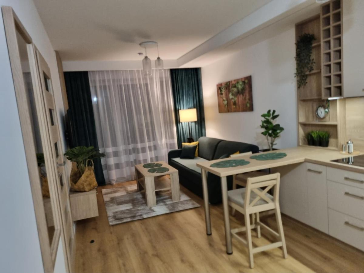 Apartament Sloneczny -Sciegiennego 키엘체 외부 사진